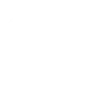 case icon
