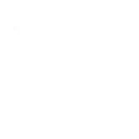 pistol